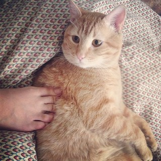 Mon Laferte feet photo thumbnail