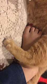 Mon Laferte feet photo thumbnail