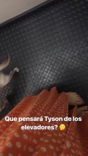 Mon Laferte feet photo thumbnail