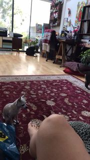 Mon Laferte feet photo thumbnail