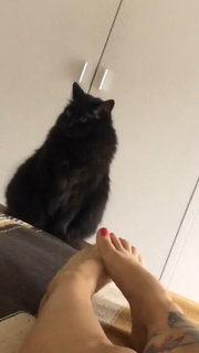 Mon Laferte feet photo thumbnail