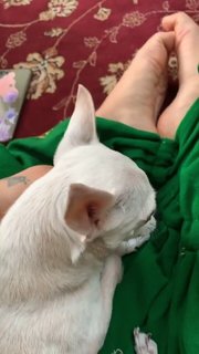 Mon Laferte feet photo thumbnail