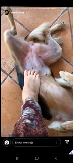 Mon Laferte feet photo thumbnail