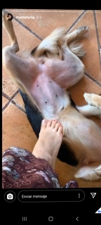 Mon Laferte feet photo thumbnail