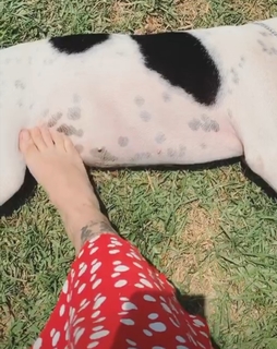 Mon Laferte feet photo thumbnail