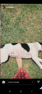 Mon Laferte feet photo thumbnail