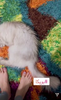 Mona Farouq feet photo 17