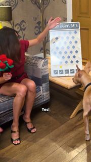 Monica Barbaro feet photo 8