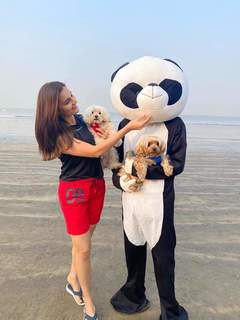 Monica Bedi feet photo 6