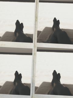 Monica Bertini feet photo 4