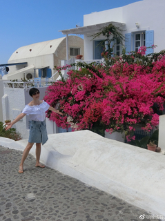 Monica Chan feet photo 4