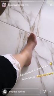 Monika Bagárová feet photo 5