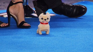 Monika Jasmin Wulf feet photo thumbnail