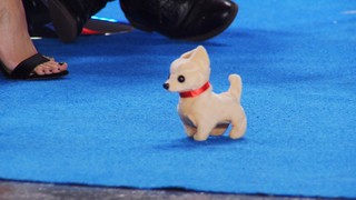 Monika Jasmin Wulf feet photo thumbnail