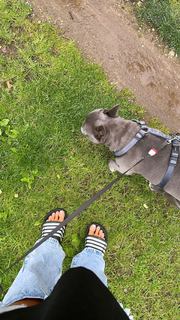 Monika Jasmin Wulf feet photo thumbnail