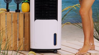 Monika Jasmin Wulf feet photo thumbnail