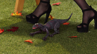 Monika Jasmin Wulf feet photo thumbnail