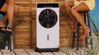 Monika Jasmin Wulf feet photo thumbnail