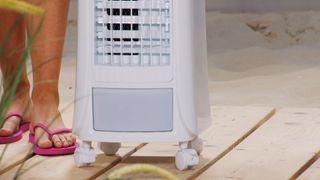 Monika Jasmin Wulf feet photo thumbnail