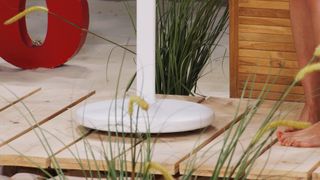 Monika Jasmin Wulf feet photo thumbnail