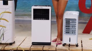 Monika Jasmin Wulf feet photo thumbnail