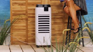 Monika Jasmin Wulf feet photo thumbnail