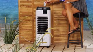 Monika Jasmin Wulf feet photo thumbnail