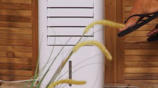 Monika Jasmin Wulf feet photo thumbnail