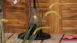 Monika Jasmin Wulf feet photo thumbnail