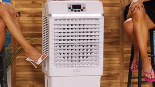 Monika Jasmin Wulf feet photo thumbnail