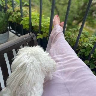 Monika Richardson feet photo 19