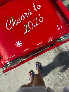 Monique Alfradique feet photo 2