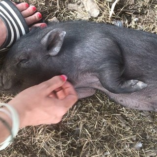 Monique Ganderton feet photo 19