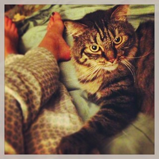 Morgan James feet photo 1