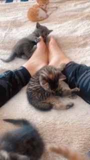 Morgan James feet photo 2