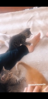 Morgan James feet photo 17