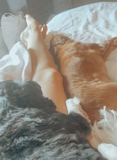 Morgan James feet photo 9