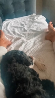 Morgan James feet photo 3