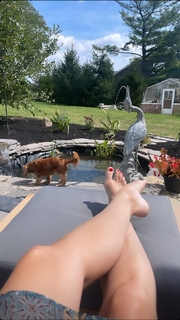 Morgan James feet photo 14