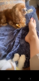 Morgan James feet photo 4