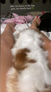 Morgan James feet photo 20