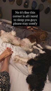 Morgan James feet photo 4