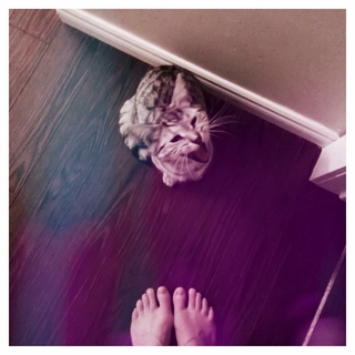 Morgan Lander feet photo 1