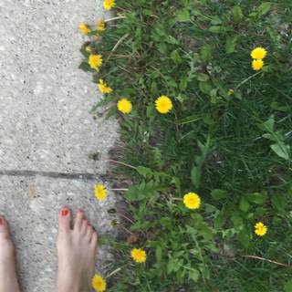Morgan Saylor feet photo 16