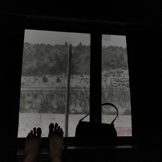 Morgan Saylor feet photo 13