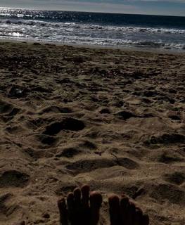 Morgan Saylor feet photo 16