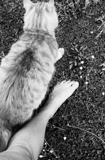 Morgana O'Reilly feet photo 13