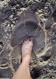 Morgana O'Reilly feet photo 11