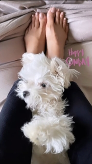 Mouni Roy feet photo thumbnail