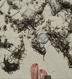 Mounia Benfeghoul feet photo 20